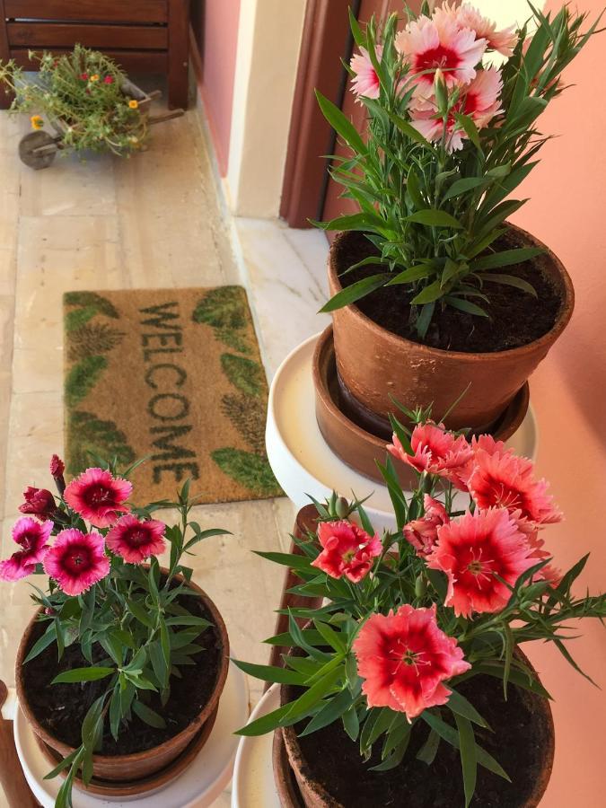 Nikodimos Garden *